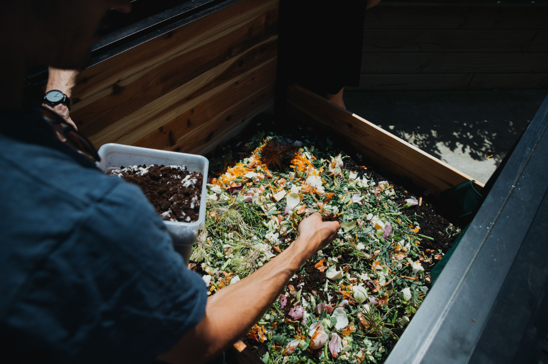 Composting oyster shells and recycling contact lenses Heart of the City Auckland's city